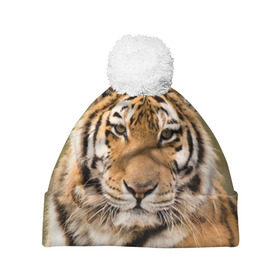 Шапка 3D c помпоном с принтом Тигр в Кировске, 100% полиэстер | универсальный размер, печать по всей поверхности изделия | animal | predator | striped | tiger | view | wild | взгляд | дикий | животное | полосатый | тигр | хищник