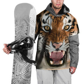 Накидка на куртку 3D с принтом Тигр в Кировске, 100% полиэстер |  | animal | predator | striped | tiger | view | wild | взгляд | дикий | животное | полосатый | тигр | хищник