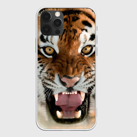 Чехол для iPhone 12 Pro Max с принтом Тигр в Кировске, Силикон |  | animal | predator | striped | tiger | view | wild | взгляд | дикий | животное | полосатый | тигр | хищник