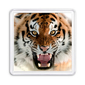 Магнит 55*55 с принтом Тигр в Кировске, Пластик | Размер: 65*65 мм; Размер печати: 55*55 мм | animal | predator | striped | tiger | view | wild | взгляд | дикий | животное | полосатый | тигр | хищник