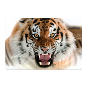Магнитный плакат 3Х2 с принтом Тигр в Кировске, Полимерный материал с магнитным слоем | 6 деталей размером 9*9 см | animal | predator | striped | tiger | view | wild | взгляд | дикий | животное | полосатый | тигр | хищник
