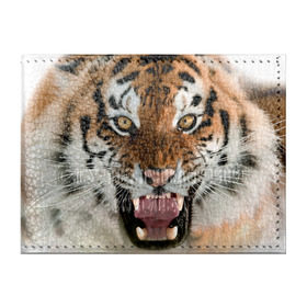 Обложка для студенческого билета с принтом Тигр в Кировске, натуральная кожа | Размер: 11*8 см; Печать на всей внешней стороне | animal | predator | striped | tiger | view | wild | взгляд | дикий | животное | полосатый | тигр | хищник
