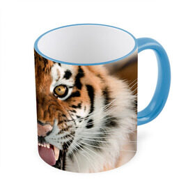 Кружка 3D с принтом Тигр в Кировске, керамика | ёмкость 330 мл | animal | predator | striped | tiger | view | wild | взгляд | дикий | животное | полосатый | тигр | хищник