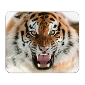 Коврик прямоугольный с принтом Тигр в Кировске, натуральный каучук | размер 230 х 185 мм; запечатка лицевой стороны | Тематика изображения на принте: animal | predator | striped | tiger | view | wild | взгляд | дикий | животное | полосатый | тигр | хищник