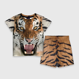 Детский костюм с шортами 3D с принтом Тигр в Кировске,  |  | Тематика изображения на принте: animal | predator | striped | tiger | view | wild | взгляд | дикий | животное | полосатый | тигр | хищник