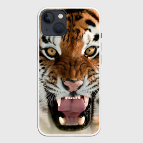 Чехол для iPhone 13 с принтом Тигр в Кировске,  |  | Тематика изображения на принте: animal | predator | striped | tiger | view | wild | взгляд | дикий | животное | полосатый | тигр | хищник