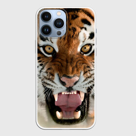 Чехол для iPhone 13 Pro Max с принтом Тигр в Кировске,  |  | animal | predator | striped | tiger | view | wild | взгляд | дикий | животное | полосатый | тигр | хищник