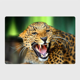 Магнитный плакат 3Х2 с принтом Леопард в Кировске, Полимерный материал с магнитным слоем | 6 деталей размером 9*9 см | Тематика изображения на принте: animal | leopard | look | predator | spotted | wild | взгляд | дикий | животное | леопард | пятнистый | хищник