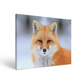 Холст прямоугольный с принтом Лиса в Кировске, 100% ПВХ |  | Тематика изображения на принте: animal | fox | look | predator | red | sly | wild | взгляд | дикая | животное | лиса | рыжая | хитрая | хищник