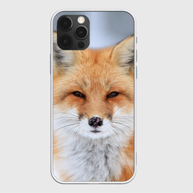 Чехол для iPhone 12 Pro Max с принтом Лиса в Кировске, Силикон |  | Тематика изображения на принте: animal | fox | look | predator | red | sly | wild | взгляд | дикая | животное | лиса | рыжая | хитрая | хищник