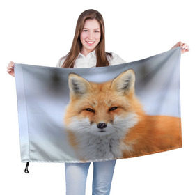 Флаг 3D с принтом Лиса в Кировске, 100% полиэстер | плотность ткани — 95 г/м2, размер — 67 х 109 см. Принт наносится с одной стороны | animal | fox | look | predator | red | sly | wild | взгляд | дикая | животное | лиса | рыжая | хитрая | хищник