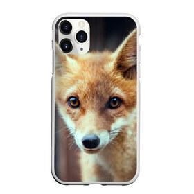 Чехол для iPhone 11 Pro матовый с принтом Лиса в Кировске, Силикон |  | animal | baby | fox | look | predator | red | sly | wild | взгляд | дикая | животное | лиса | малыш | рыжая | хитрая | хищник
