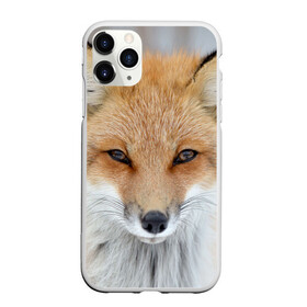 Чехол для iPhone 11 Pro Max матовый с принтом Лиса в Кировске, Силикон |  | animal | baby | fox | look | predator | red | sly | wild | взгляд | дикая | животное | лиса | малыш | рыжая | хитрая | хищник