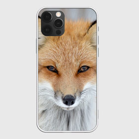 Чехол для iPhone 12 Pro Max с принтом Лиса в Кировске, Силикон |  | Тематика изображения на принте: animal | baby | fox | look | predator | red | sly | wild | взгляд | дикая | животное | лиса | малыш | рыжая | хитрая | хищник