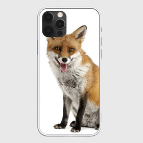 Чехол для iPhone 12 Pro Max с принтом Лиса в Кировске, Силикон |  | Тематика изображения на принте: animal | baby | fox | look | predator | red | sly | wild | взгляд | дикая | животное | лиса | малыш | рыжая | хитрая | хищник