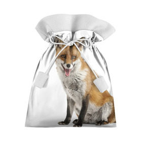 Подарочный 3D мешок с принтом Лиса в Кировске, 100% полиэстер | Размер: 29*39 см | animal | baby | fox | look | predator | red | sly | wild | взгляд | дикая | животное | лиса | малыш | рыжая | хитрая | хищник