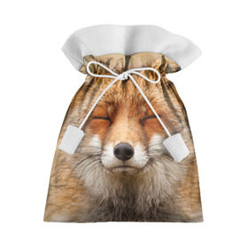 Подарочный 3D мешок с принтом Лиса в Кировске, 100% полиэстер | Размер: 29*39 см | animal | baby | fox | look | predator | red | sly | wild | взгляд | дикая | животное | лиса | малыш | рыжая | хитрая | хищник