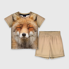 Детский костюм с шортами 3D с принтом Лиса в Кировске,  |  | Тематика изображения на принте: animal | baby | fox | look | predator | red | sly | wild | взгляд | дикая | животное | лиса | малыш | рыжая | хитрая | хищник