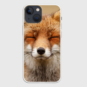 Чехол для iPhone 13 mini с принтом Лиса в Кировске,  |  | animal | baby | fox | look | predator | red | sly | wild | взгляд | дикая | животное | лиса | малыш | рыжая | хитрая | хищник