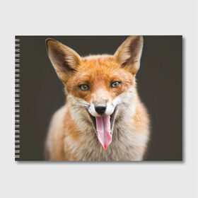 Альбом для рисования с принтом Лиса в Кировске, 100% бумага
 | матовая бумага, плотность 200 мг. | animal | fox | look | predator | red | sly | wild | взгляд | дикая | животное | лиса | рыжая | хитрая | хищник