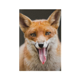 Обложка для паспорта матовая кожа с принтом Лиса в Кировске, натуральная матовая кожа | размер 19,3 х 13,7 см; прозрачные пластиковые крепления | animal | fox | look | predator | red | sly | wild | взгляд | дикая | животное | лиса | рыжая | хитрая | хищник