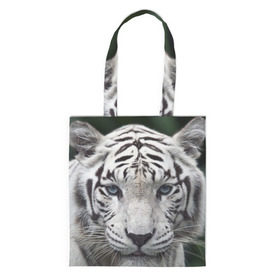 Сумка 3D повседневная с принтом Белый тигр в Кировске, 100% полиэстер | Плотность: 200 г/м2; Размер: 34×35 см; Высота лямок: 30 см | animal | jungle | look | predator | tiger | white | wild | белый | взгляд | джунгли | дикий | животное | тигр | хищник