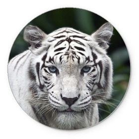 Коврик круглый с принтом Белый тигр в Кировске, резина и полиэстер | круглая форма, изображение наносится на всю лицевую часть | Тематика изображения на принте: animal | jungle | look | predator | tiger | white | wild | белый | взгляд | джунгли | дикий | животное | тигр | хищник