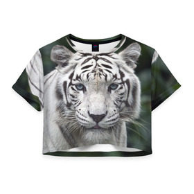 Женская футболка 3D укороченная с принтом Белый тигр в Кировске, 100% полиэстер | круглая горловина, длина футболки до линии талии, рукава с отворотами | Тематика изображения на принте: animal | jungle | look | predator | tiger | white | wild | белый | взгляд | джунгли | дикий | животное | тигр | хищник