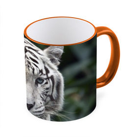 Кружка 3D с принтом Белый тигр в Кировске, керамика | ёмкость 330 мл | animal | jungle | look | predator | tiger | white | wild | белый | взгляд | джунгли | дикий | животное | тигр | хищник