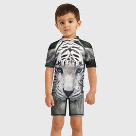 Детский купальный костюм 3D с принтом Белый тигр в Кировске, Полиэстер 85%, Спандекс 15% | застежка на молнии на спине | animal | jungle | look | predator | tiger | white | wild | белый | взгляд | джунгли | дикий | животное | тигр | хищник