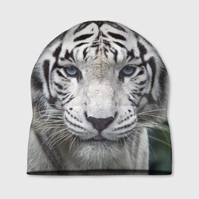 Шапка 3D с принтом Белый тигр в Кировске, 100% полиэстер | универсальный размер, печать по всей поверхности изделия | animal | jungle | look | predator | tiger | white | wild | белый | взгляд | джунгли | дикий | животное | тигр | хищник