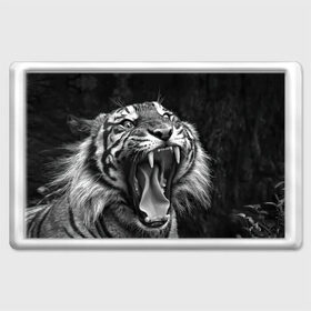 Магнит 45*70 с принтом Тигр в Кировске, Пластик | Размер: 78*52 мм; Размер печати: 70*45 | animal | black   white | fangs | jaws | jungle | predator | teeth | tiger | wild | джунгли | дикий | животное | клыки | оскал | пасть | тигр | хищник | черно   белый