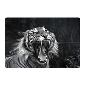Магнитный плакат 3Х2 с принтом Тигр в Кировске, Полимерный материал с магнитным слоем | 6 деталей размером 9*9 см | animal | black   white | fangs | jaws | jungle | predator | teeth | tiger | wild | джунгли | дикий | животное | клыки | оскал | пасть | тигр | хищник | черно   белый