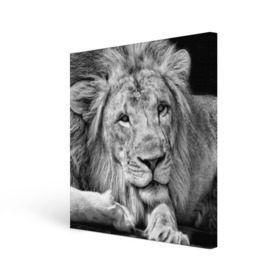 Холст квадратный с принтом Лев в Кировске, 100% ПВХ |  | animal | black   white | king | lies | lion | look | predator | wild | взгляд | дикий | животное | зверь | лев | лежит | хищник | царь | черно   белый