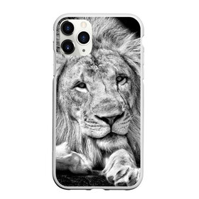 Чехол для iPhone 11 Pro матовый с принтом Лев в Кировске, Силикон |  | animal | black   white | king | lies | lion | look | predator | wild | взгляд | дикий | животное | зверь | лев | лежит | хищник | царь | черно   белый