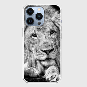 Чехол для iPhone 13 Pro с принтом Лев в Кировске,  |  | animal | black   white | king | lies | lion | look | predator | wild | взгляд | дикий | животное | зверь | лев | лежит | хищник | царь | черно   белый