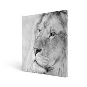 Холст квадратный с принтом Лев в Кировске, 100% ПВХ |  | animal | black   white | king | lion | look | predator | wild | взгляд | дикий | животное | зверь | лев | хищник | царь | черно   белый