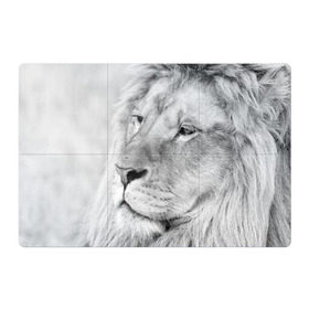 Магнитный плакат 3Х2 с принтом Лев в Кировске, Полимерный материал с магнитным слоем | 6 деталей размером 9*9 см | animal | black   white | king | lion | look | predator | wild | взгляд | дикий | животное | зверь | лев | хищник | царь | черно   белый