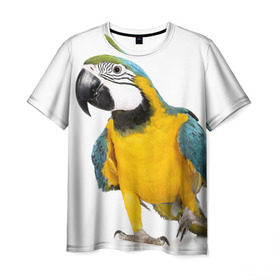 Мужская футболка 3D с принтом Попугай ара в Кировске, 100% полиэфир | прямой крой, круглый вырез горловины, длина до линии бедер | желтый | птица | синий | экзотика