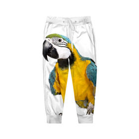 Детские брюки 3D с принтом Попугай ара в Кировске, 100% полиэстер | манжеты по низу, эластичный пояс регулируется шнурком, по бокам два кармана без застежек, внутренняя часть кармана из мелкой сетки | желтый | птица | синий | экзотика