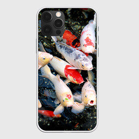 Чехол для iPhone 12 Pro с принтом Koi Fish (карпы кои) в Кировске, силикон | область печати: задняя сторона чехла, без боковых панелей | Тематика изображения на принте: bright | brocade | carp | color | decorative | depth | exotic | fish | koi | koi fish | sea | water | вода | глубина | декоративные | карпы | кои | море | парчовый | рыбки | цвет | экзотические | яркий