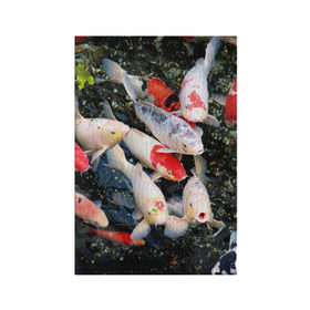 Обложка для паспорта матовая кожа с принтом Koi Fish (карпы кои) в Кировске, натуральная матовая кожа | размер 19,3 х 13,7 см; прозрачные пластиковые крепления | bright | brocade | carp | color | decorative | depth | exotic | fish | koi | koi fish | sea | water | вода | глубина | декоративные | карпы | кои | море | парчовый | рыбки | цвет | экзотические | яркий