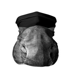 Бандана-труба 3D с принтом Слон в Кировске, 100% полиэстер, ткань с особыми свойствами — Activecool | плотность 150‒180 г/м2; хорошо тянется, но сохраняет форму | animal | big | black   white | elephant | wild | большой | дикий | животное | слон | черно   белый
