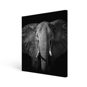 Холст квадратный с принтом Слон в Кировске, 100% ПВХ |  | animal | big | black   white | elephant | wild | большой | дикий | животное | слон | черно   белый