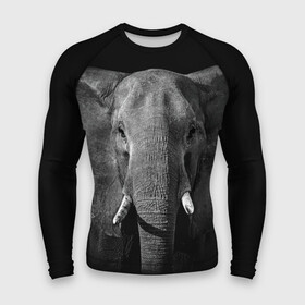 Мужской рашгард 3D с принтом Слон в Кировске,  |  | animal | big | black   white | elephant | wild | большой | дикий | животное | слон | черно   белый