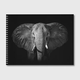 Альбом для рисования с принтом Слон в Кировске, 100% бумага
 | матовая бумага, плотность 200 мг. | Тематика изображения на принте: animal | big | black   white | elephant | wild | большой | дикий | животное | слон | черно   белый