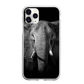 Чехол для iPhone 11 Pro матовый с принтом Слон в Кировске, Силикон |  | animal | big | black   white | elephant | wild | большой | дикий | животное | слон | черно   белый