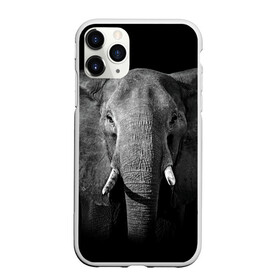Чехол для iPhone 11 Pro Max матовый с принтом Слон в Кировске, Силикон |  | animal | big | black   white | elephant | wild | большой | дикий | животное | слон | черно   белый