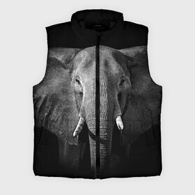 Мужской жилет утепленный 3D с принтом Слон в Кировске,  |  | animal | big | black   white | elephant | wild | большой | дикий | животное | слон | черно   белый