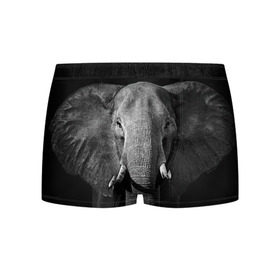 Мужские трусы 3D с принтом Слон в Кировске, 50% хлопок, 50% полиэстер | классическая посадка, на поясе мягкая тканевая резинка | Тематика изображения на принте: animal | big | black   white | elephant | wild | большой | дикий | животное | слон | черно   белый